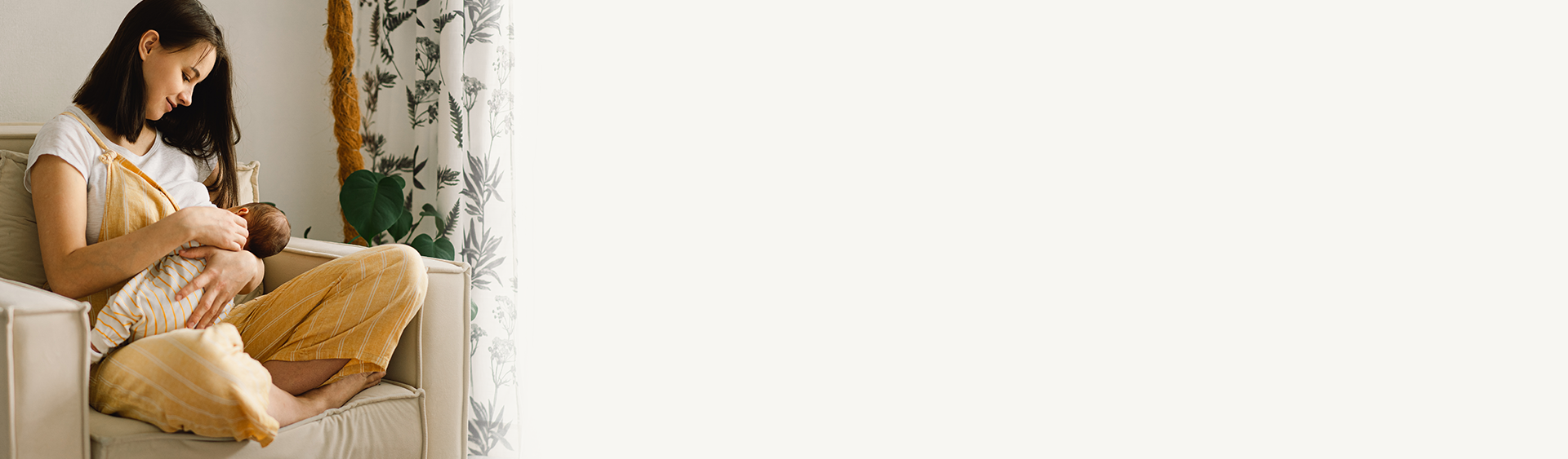 Nutrition and Immunity