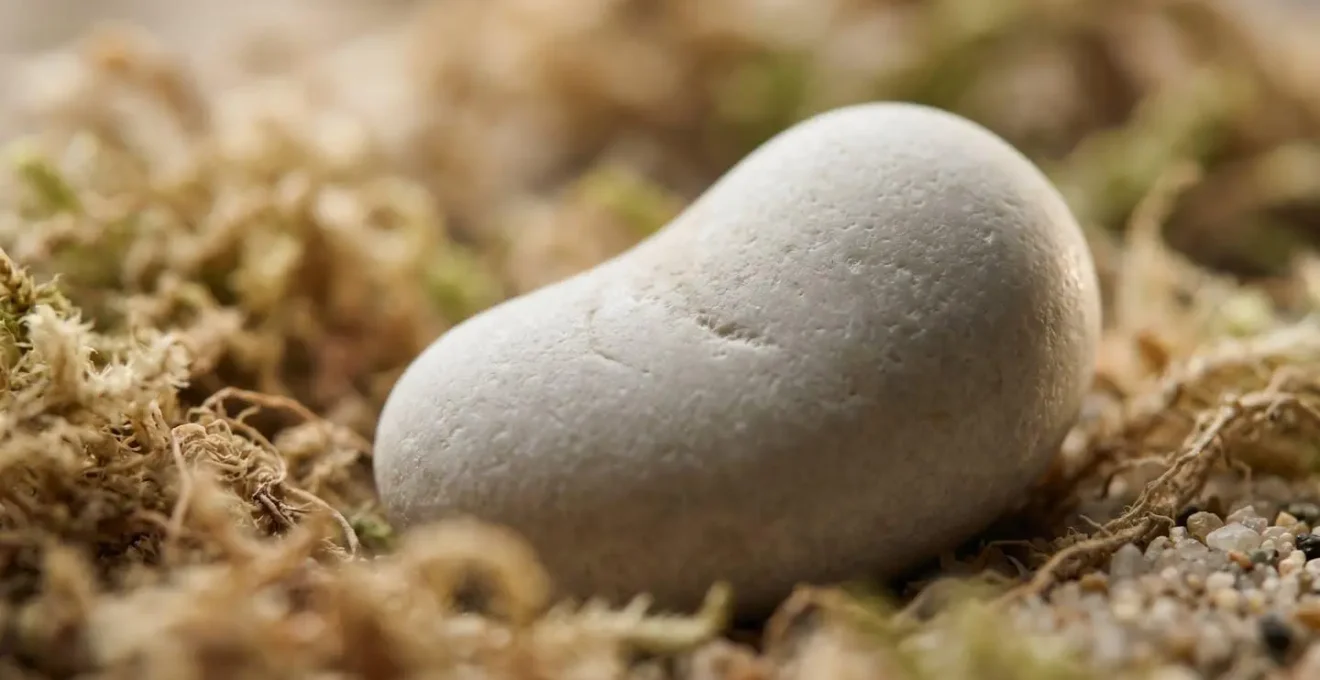 Macro detail showing precise measurement concept in early pregnancy